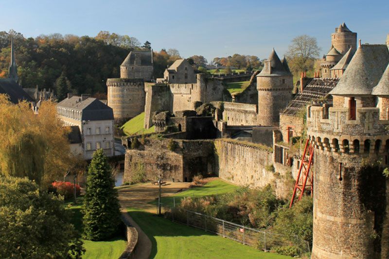 fougères près de notre hôtel à Rennes ibis budget